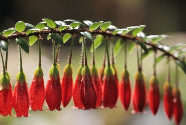 东莞洪梅私人快速借钱网，轻松解决资金难题