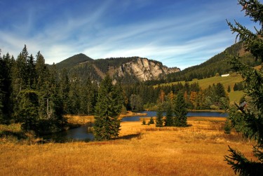 东莞洪梅民间私贷攻略：揭秘低成本借贷的秘密